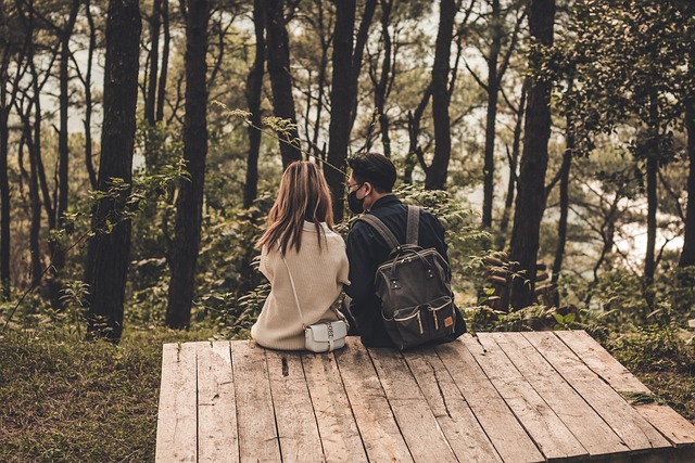 couples counseling