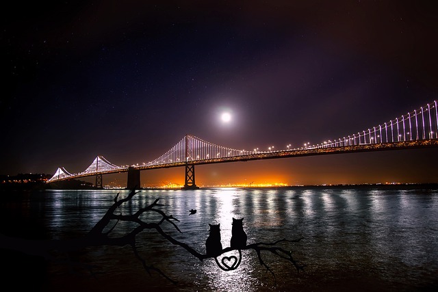love-640x480-30615167.jpeg