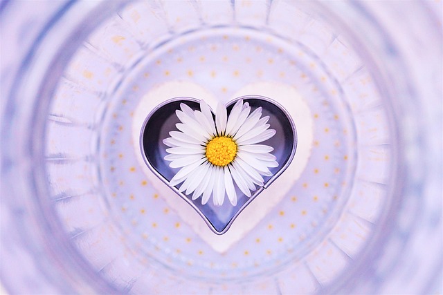 love-640x480-62019137.jpeg