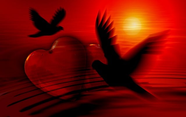 love-640x480-86840248.jpeg