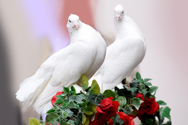 marriage