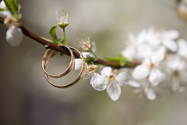wedding-engagement-640x480-92834042.jpeg