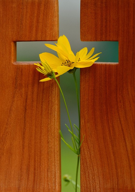 Christian