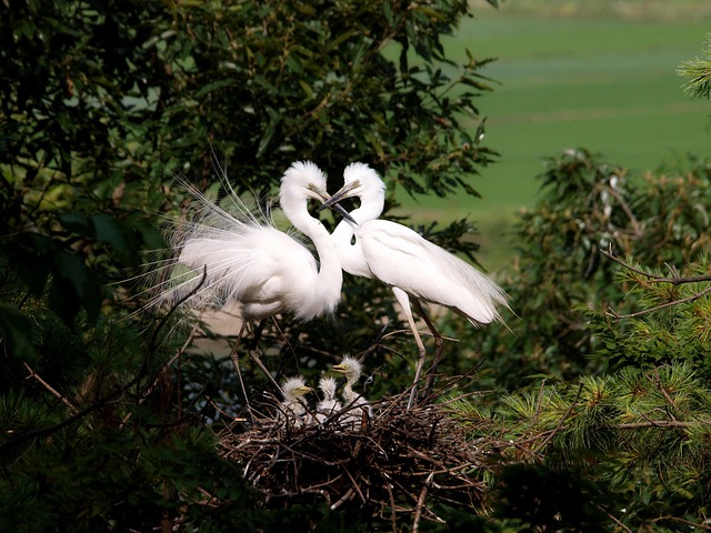 couples-counseling-640x480-71290968.jpeg