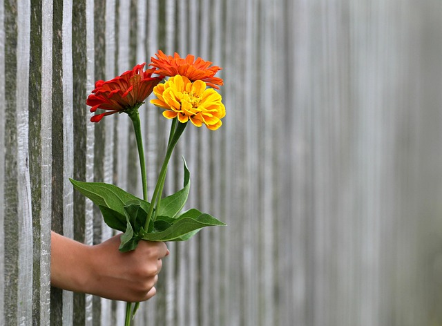 love-640x480-16987669.jpeg