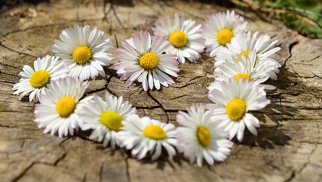 love-640x480-29426218.jpeg