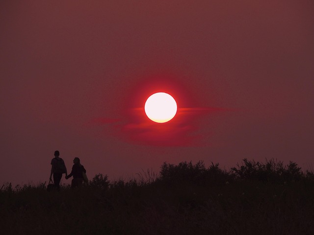 love-640x480-74855960.jpeg