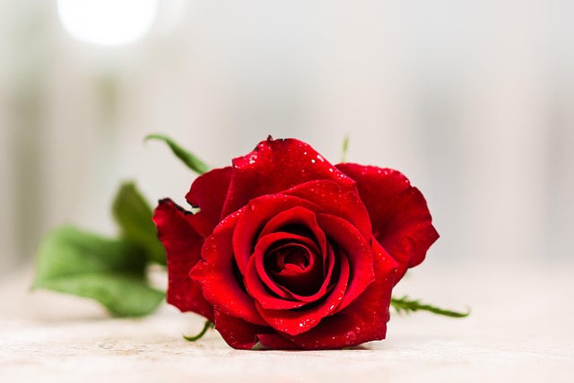 dating-640x480-35218558.jpeg