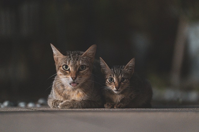 family-640x480-72564498.jpeg