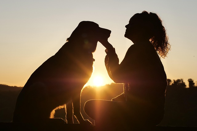 relationship-640x480-73533291.jpeg