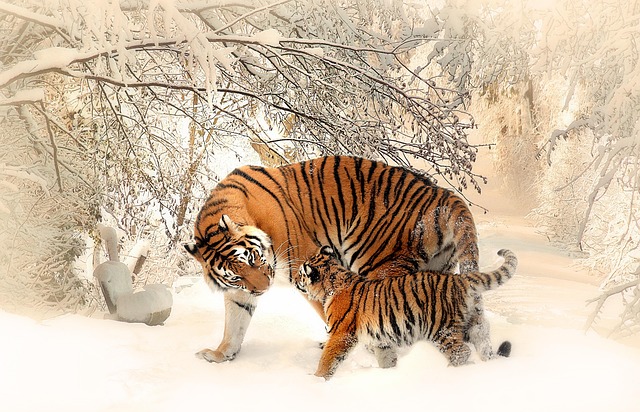 family-640x480-13796115.jpeg