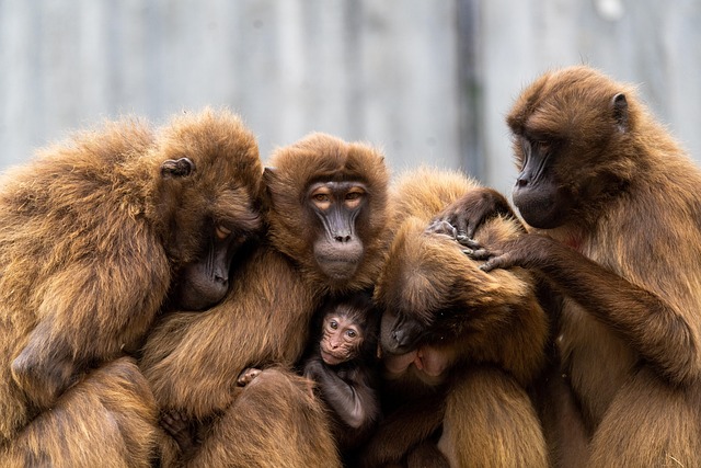 family-640x480-51808081.jpeg