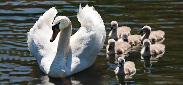 family-640x480-93868178.jpeg