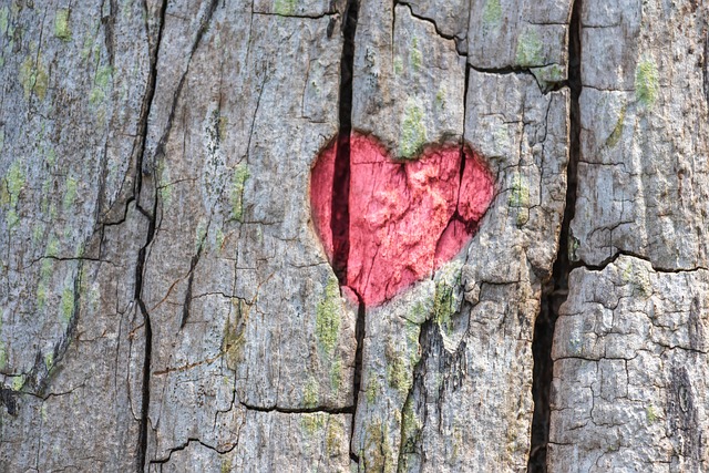 love-640x480-87972533.jpeg