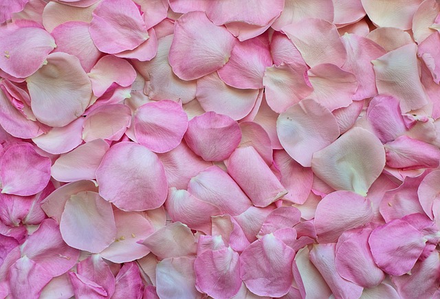 love-640x480-73841106.jpeg