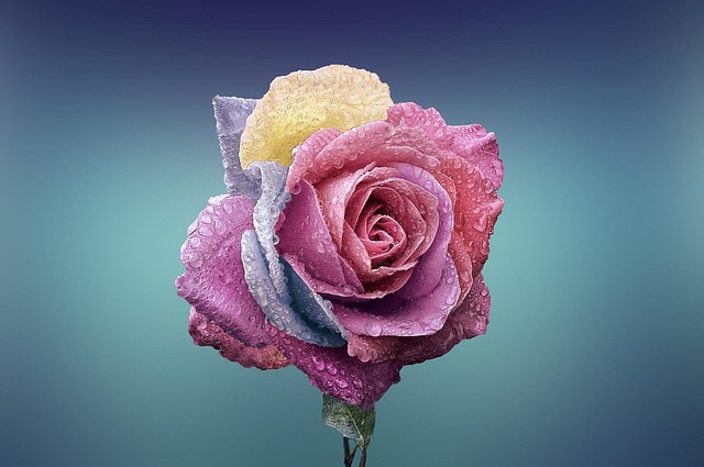 love-640x480-55242499.jpeg