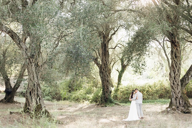wedding-640x480-1768777.jpeg