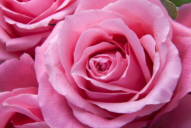 love-640x480-1889211.jpeg