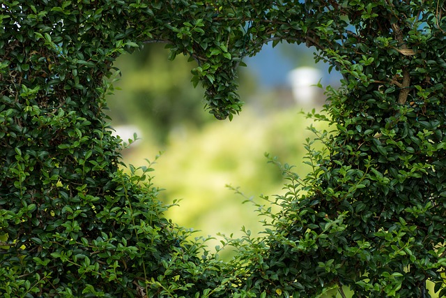 Transforming Relationships: Gilbert AZ Relationship Counseling Guide