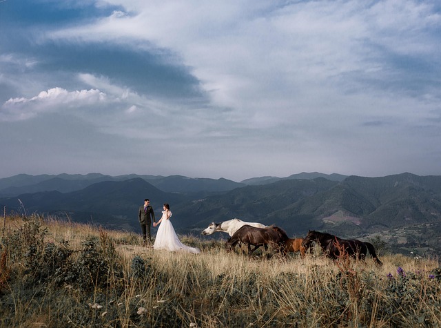 wedding-640x480-27843581.jpeg