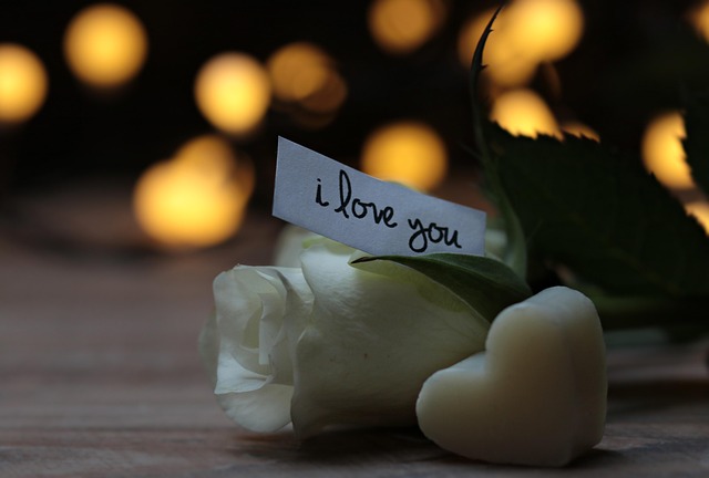 love