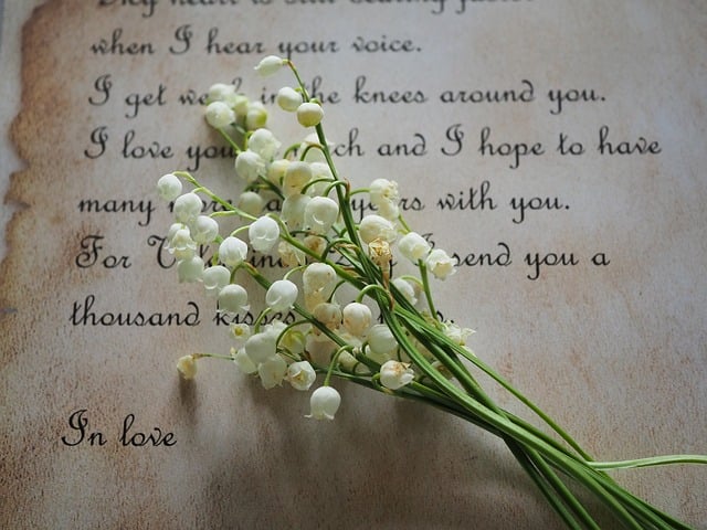 Holy Union Healing: Christian Couples Counseling in Arizona