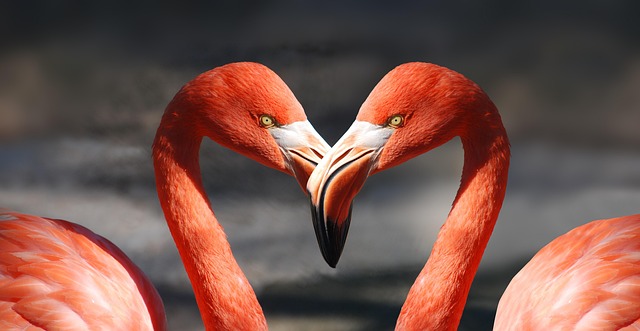 Resolving Gilbert AZ Marriage Conflicts Through Relationship Counseling