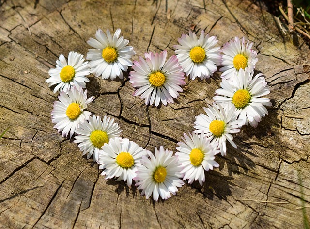 Couples Counseling Gilbert Arizona: Transforming Marriages Together