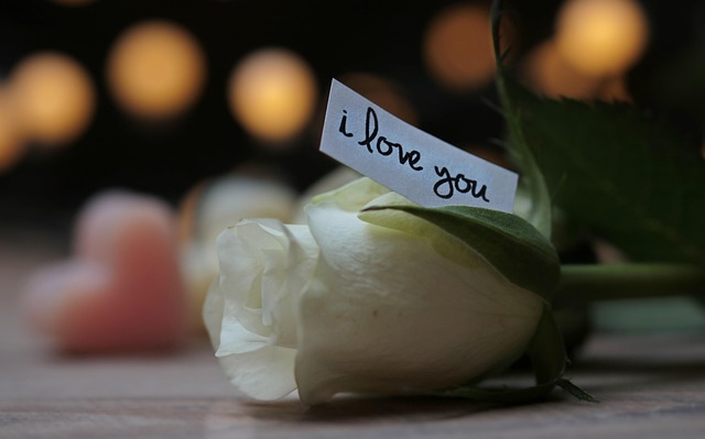 love